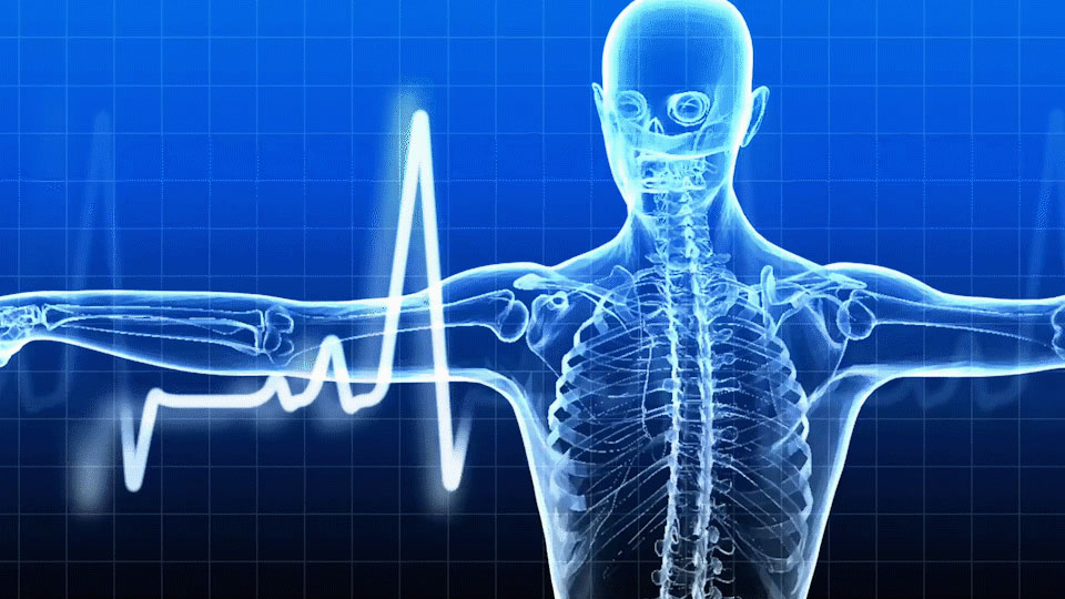 What is a Virtual Heart Check?
